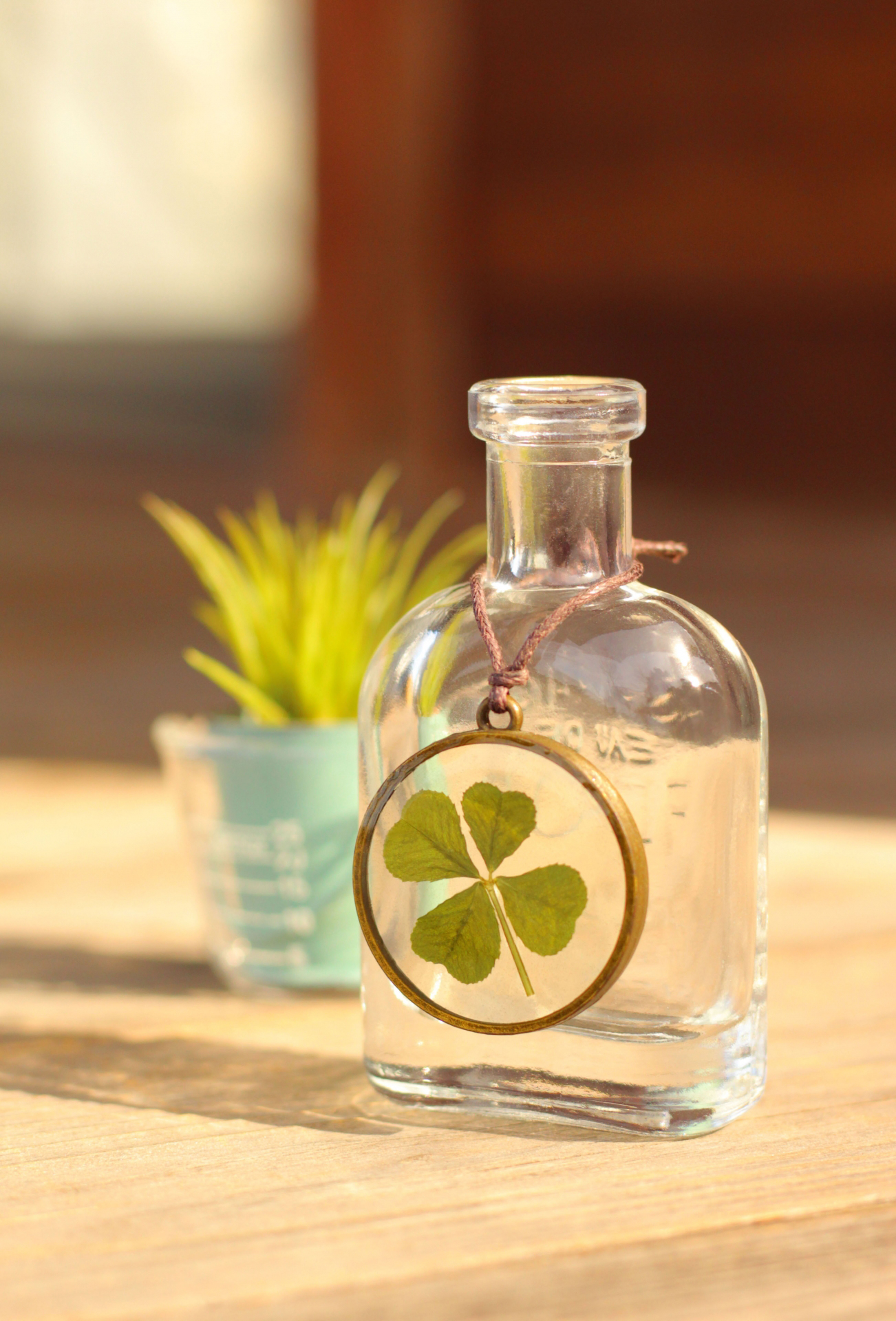 ホームヘルパー