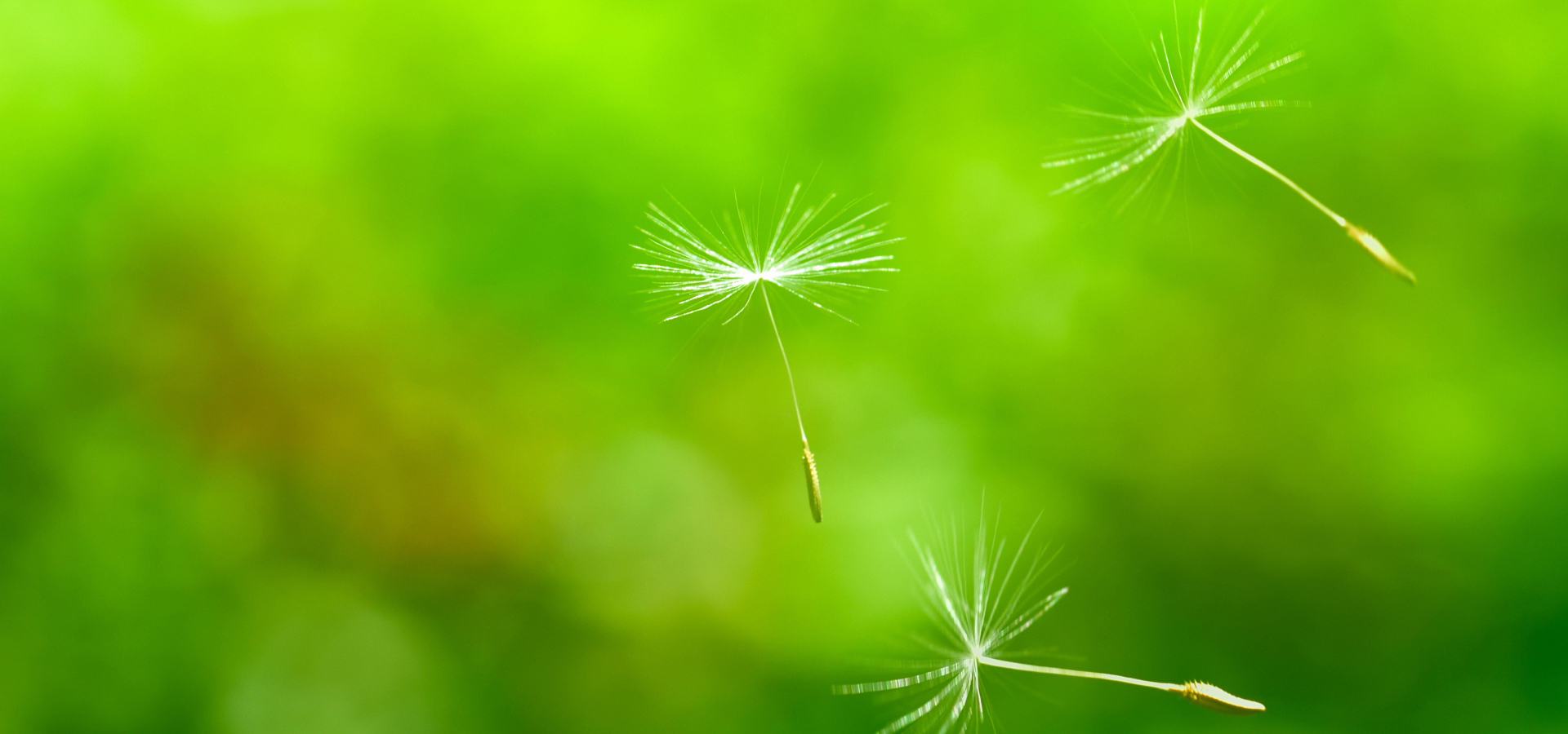 ドリームケア福祉用具